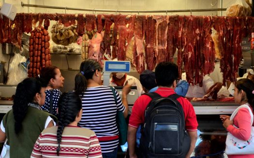 Foto: Guilherme Lapa